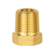 30 Pcs 1/4" Plug