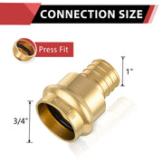 3/4" Press X 1" PEX Crimp Brass Adapter (Lead Free)