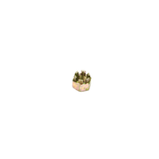 Takeuchi Nut 1132080016