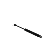 Takeuchi Gas Spring 1653900075