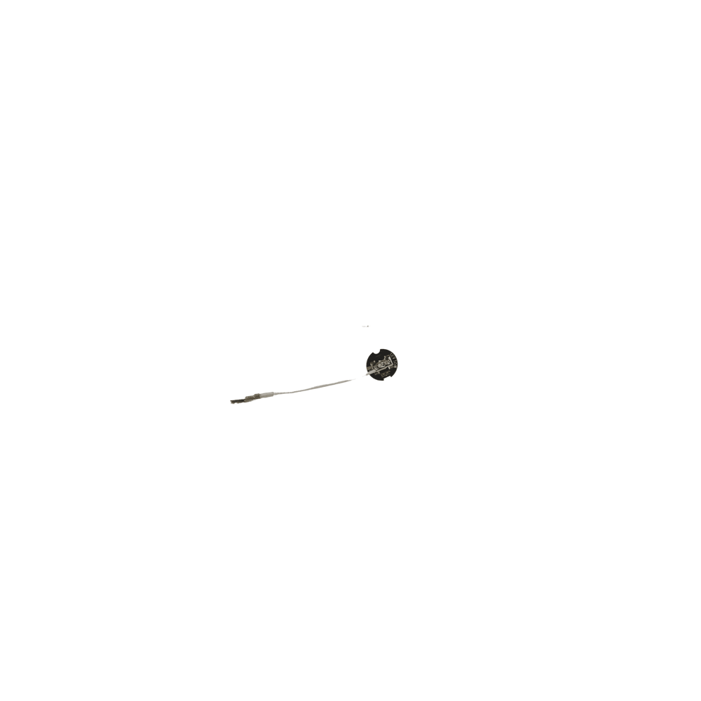 Takeuchi Bulb 1703002706