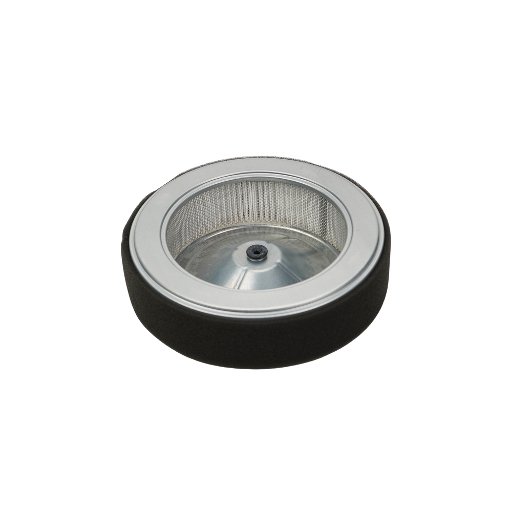 Honda Air Cleaner Element 17210-Z6L-010