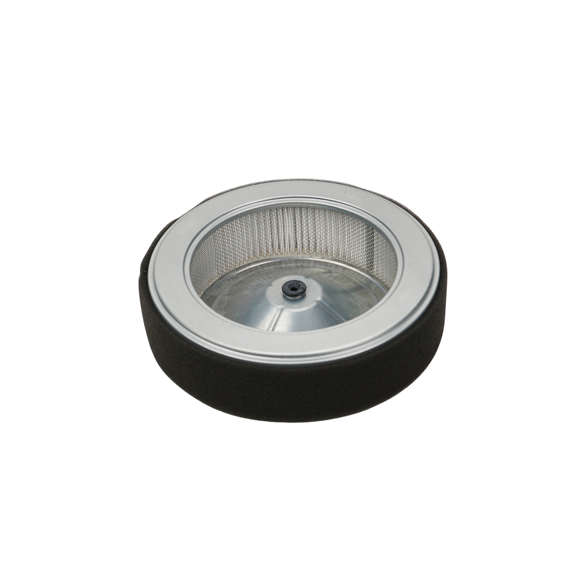 Honda Air Cleaner Element 17210-Z6L-010