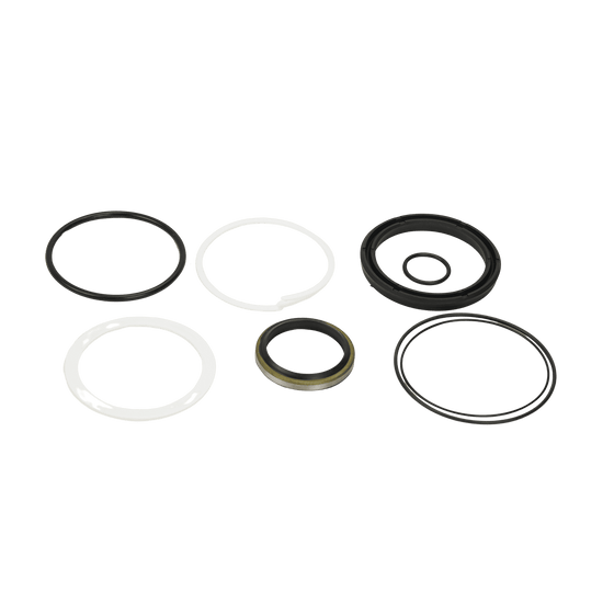 Takeuchi Seal Kit 1900063999
