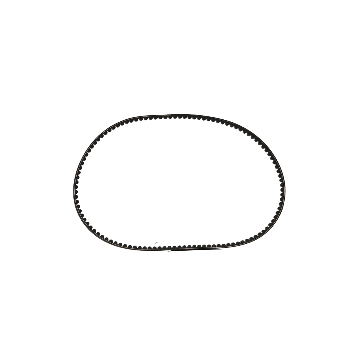 Takeuchi V-Belt 1911505905