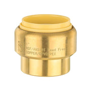 1" Push Fit Plug (End Stop)