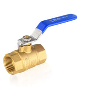10 Pcs 1/2" FNPT Ball Valve, Blue (Lead Free)