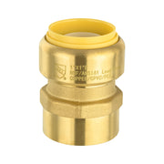 1/2" x 1/2" F Push Fit Female Adapter