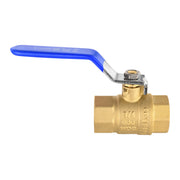 10 Pcs 1/2" FNPT Ball Valve, Blue (Lead Free)