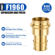 Pro 6-Pack 1" Press x 3/4" PEX Expansion Brass Adapter (Lead Free)