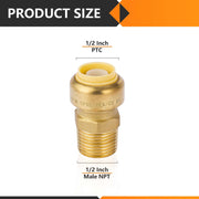 1/2" x 1/2" M Push Fit Male Adapter