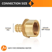 PEX-B Crimp 1/2" PEX x 3/4" Female Threaded Adapter (Lead Free)