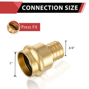 1" Press x 3/4" PEX Expansion Brass Adapter (Lead Free)
