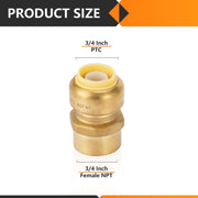 30 Pcs 3/4" x 3/4" F Push Fit Female Adapter