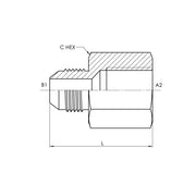 2405-20-20 | 20 MJ - 20 FP Straight, Carbon Steel