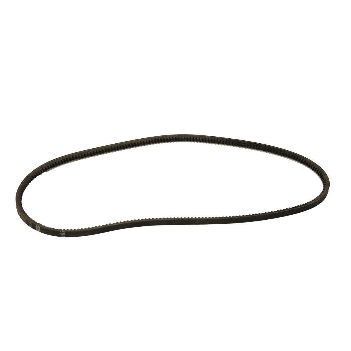 Magni Engine Belt 24207