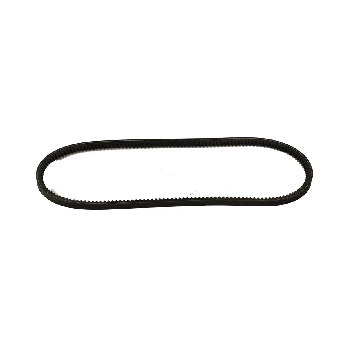Magni Engine Belt 24230