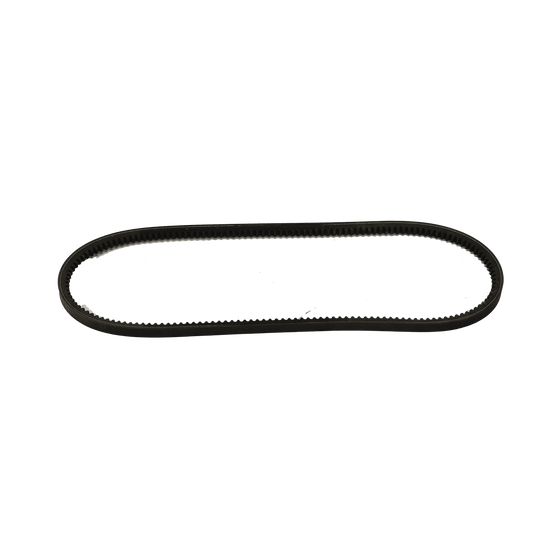 Magni Engine Belt 24230