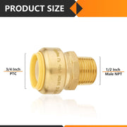 3/4" x 1/2" M Push Fit Male Adapter