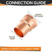3/4" C x FNPT Copper Female Adapter