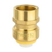 30 Pcs 3/4" x 3/4" F Push Fit Female Adapter