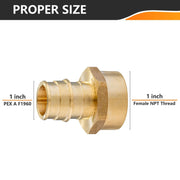 PEX A Full Flow Expansion 1" PEX x 1" Female Threaded F1960 Adapter (Lead Free)