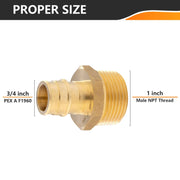 PEX A Full Flow Expansion Adapter 3/4" PEX x 1" Male Threaded F1960 Adapter (Lead Free)