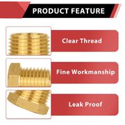 1/4" Plug