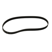 Magni Serpentine Belt (Deutz) 34361