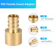 PEX-B Crimp Coupling female Sweat 3/4" PEX x 3/4" FSW (Lead Free)
