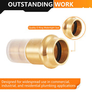 3/4" Press x 3/4" PEX Expansion Adapter, Brass (Lead Free)