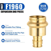 Pro 10-Pack 3/4" Press x 1/2" PEX Expansion Brass Adapter (Lead Free)