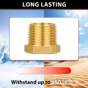 1/2" Plug