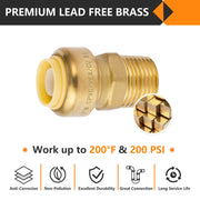 1/2" x 1/2" M Push Fit Male Adapter