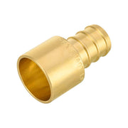 PEX-B Crimp 1" PEX x 1" Female Copper Sweat Sweat Coupling (Lead Free)
