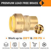 30 Pcs 3/4" x 1" F Push Fit Female Adapter