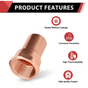 1/2" FTG x Female Threaded Street Adapter
