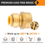 30 Pcs 1/2" x 3/4" F Push Fit Female Adapter