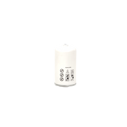 Haulotte Fuel Filter 4000503110