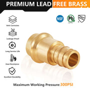 1" Press x 1" PEX Expansion Brass Adapter (Lead Free)
