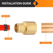 PEX-B Crimp 3/4" PEX x 3/4" Female Copper Sweat Sweat Coupling (Lead Free)