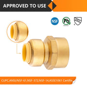 1/2" x 3/4" F Push Fit Female Adapter