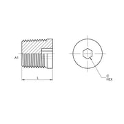 5406-HHP-02 | 02 Hollow Hex Pipe Plug, Carbon Steel
