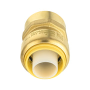 1/2" x 1/2" F Push FIt Female Adapter