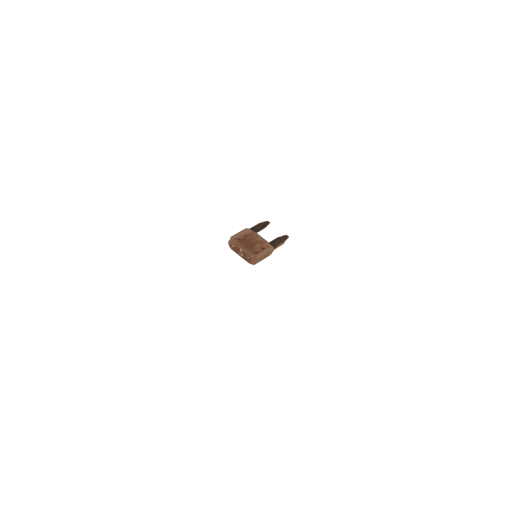 Sany Fuse (5 Amp) 60215505
