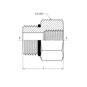 6405-06-04-O | 06 MORB - 04 FP Straight, Carbon Steel
