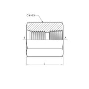 6420-12-12 | 12 FORB - 12 FP Straight, Carbon Steel