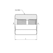 6425-08-08 | 08 FORB - 08 FORB Straight, Carbon Steel