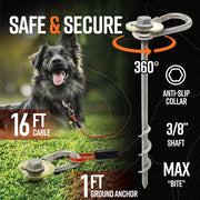GroundGrabba Grounded Paws Dog Tie Out & Run Kit