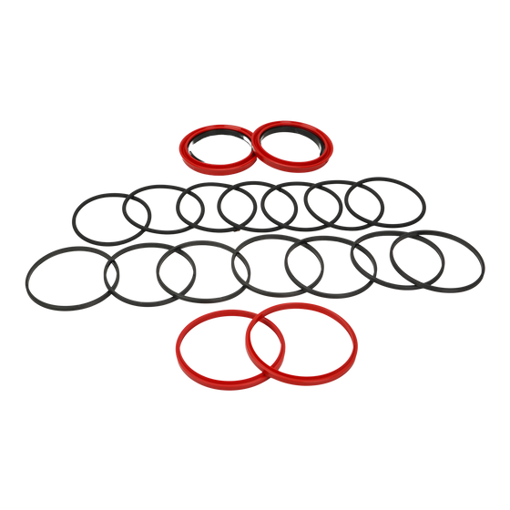 JLG Seal Kit 70005716